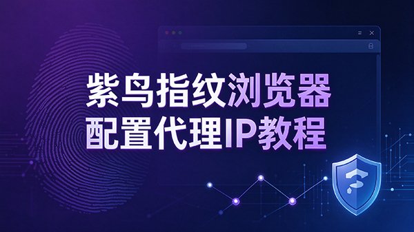 紫鸟指纹浏览器怎么配置IPMAX代理IP(图文教程)